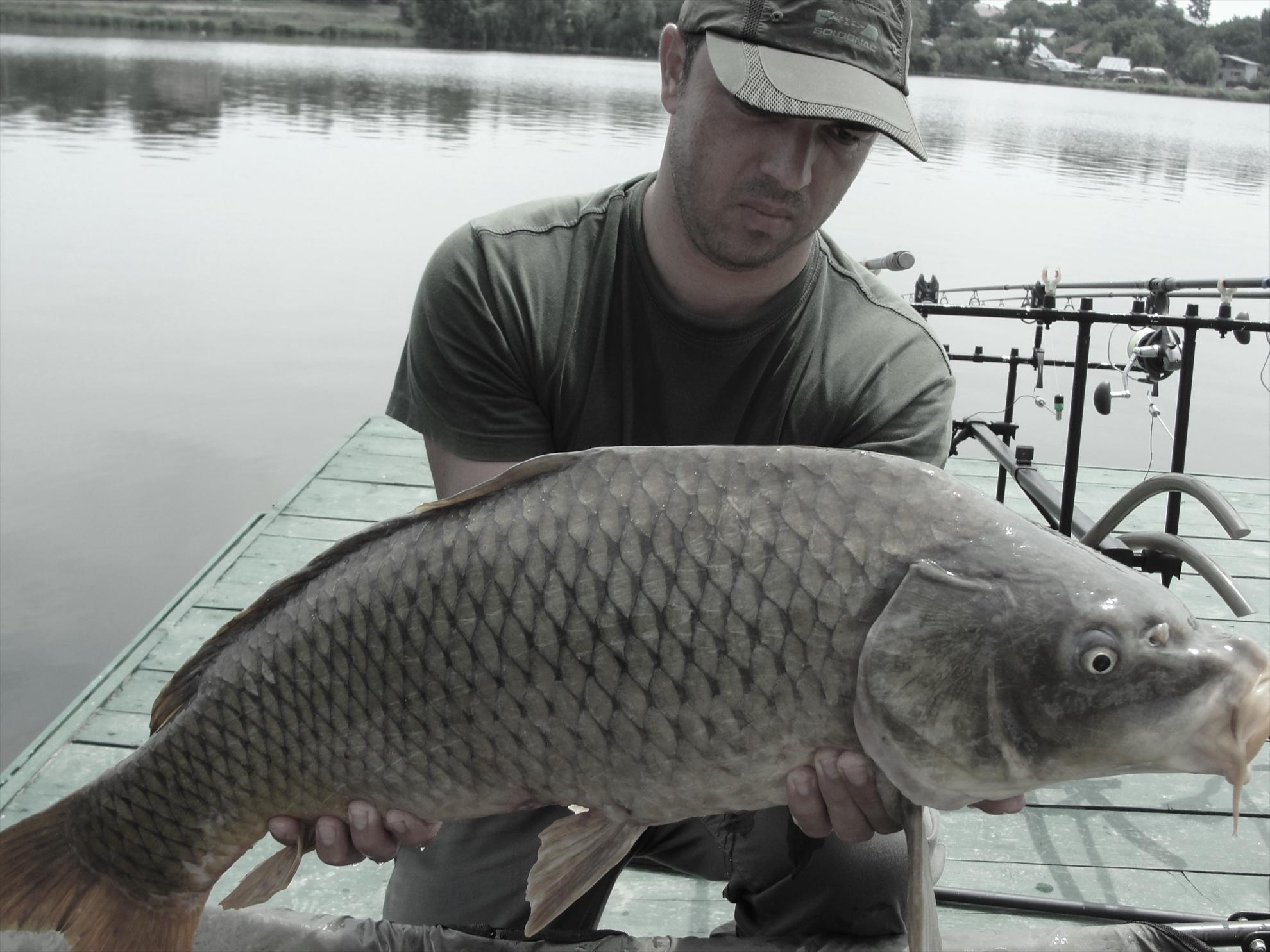 Moara Vlasiei 2 23 - 24 iun. - dsc00791.JPG